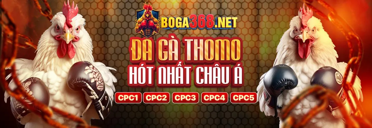 Đá Gà acb888 bet